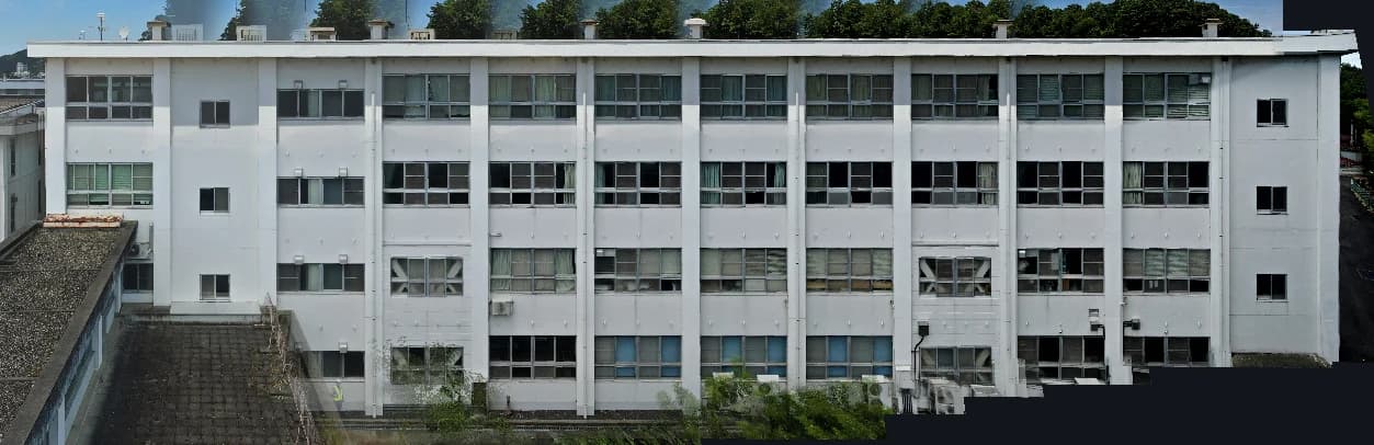 A wall-facade orthoimage of a building generated with CRITIR