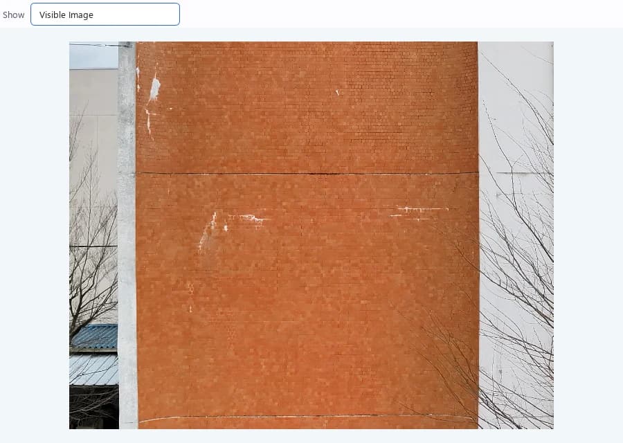 Secondary Viewer
